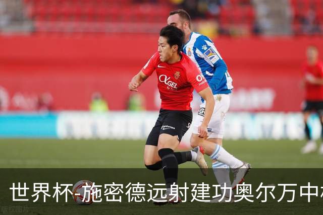 世界杯-施密德远射建功奥尔万中框 半场奥地利1-0约旦